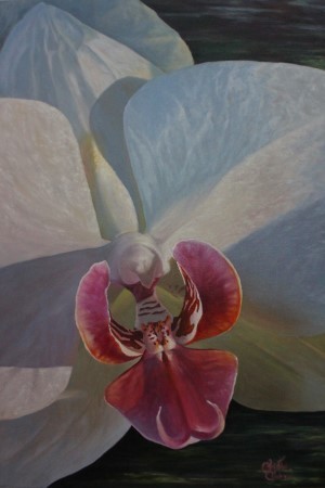 De-la-bien-belle-visite-20x30_VF-aapars
