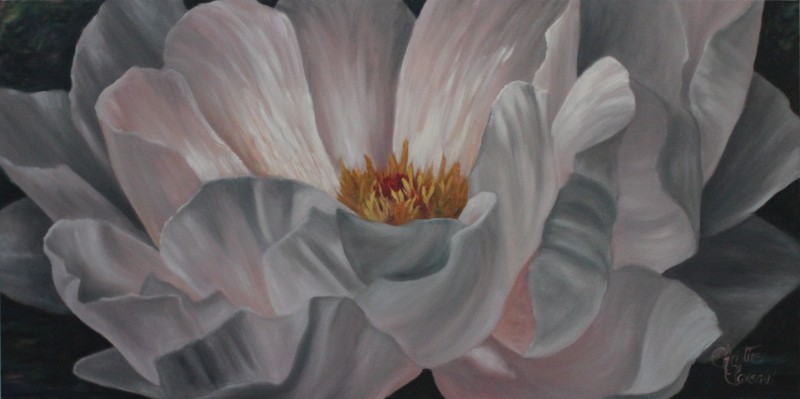 Petales-en-folie-15x30