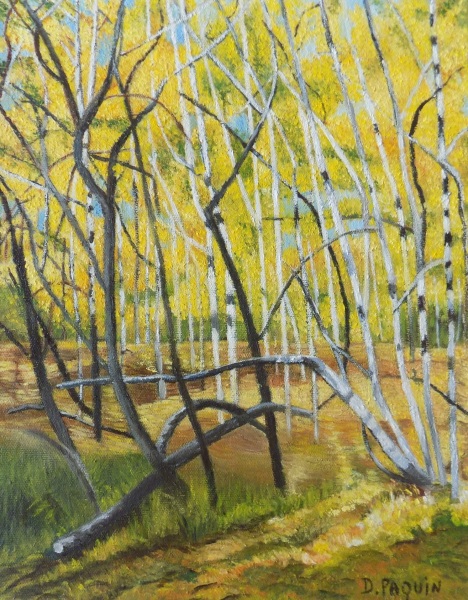 Lumieres de l automne