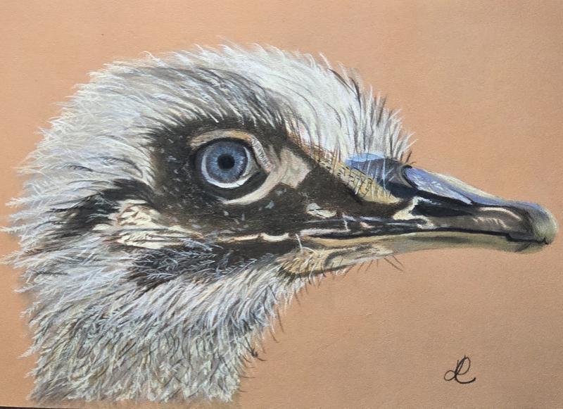 L-Autruche