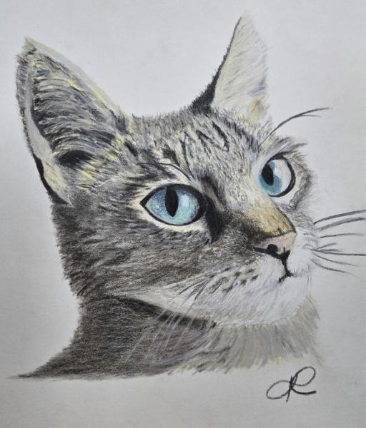 Nala