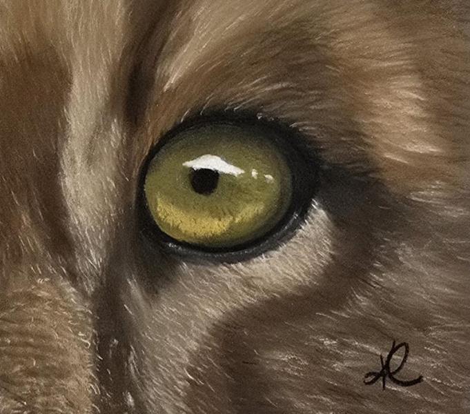 Regard-de-lionne