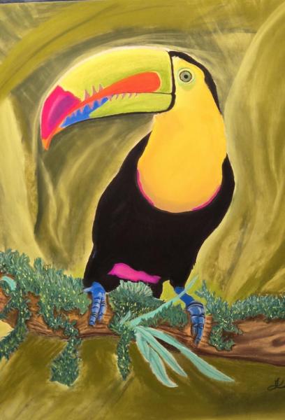 Toucan