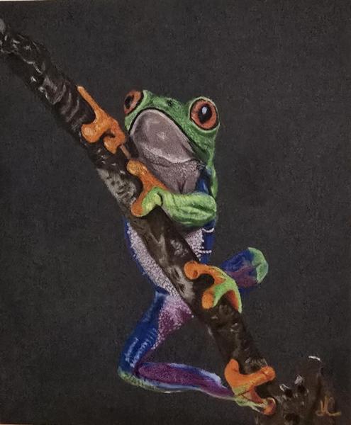 Tree-Frog