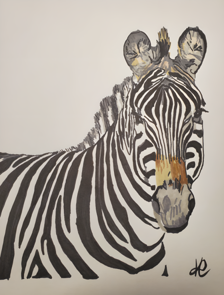 Zebra
