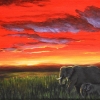 Dans la savane