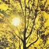 L'arbre