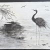 494-Grand-heron-aux-aguets