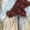 460-Offrez-moi-des-fleurs