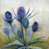 Chardons blues