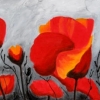 Poppies