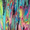 vision 16X20