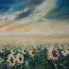 champs de tournesols
