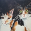 Chats à la fenêtre