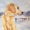 Sur la glace