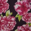 Pivoines 1