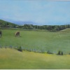 Beaux Chevaux