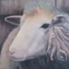 premier-regard