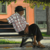 Flânerie (16x12) Pastel sec, 525$ encadré