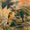 Duo de guêpiers