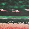 Ocean de flamands