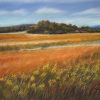 Sème le vent
Pastel sec sur papier Uart 
12’’x16’’
Signature: coin inférieur droit 
C_078