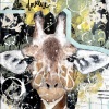 Tout-est-dans-la-douceur 14x11