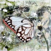 Se-laisser-porter 16x20