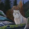Sauvage Nature