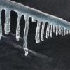 Frost