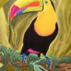 Toucan