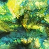 Sea Fan Coral