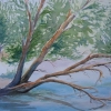 peinture-aquarelle-reflets-d-arbres-cours-peinture-linda-boyte_287koa-jpg-1